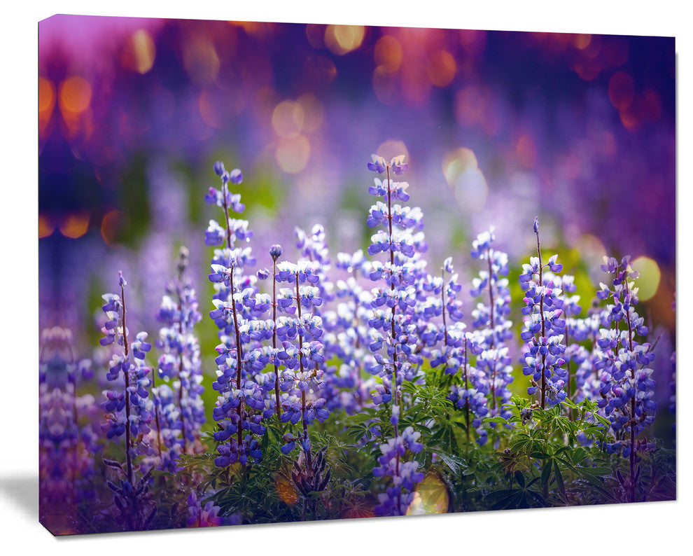 Blue Lupin Flowers on Blue Background, Large Flower Canvas Art Print, 20"x12"
