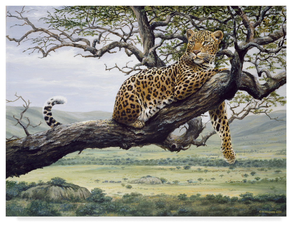 Harro Maass 'Leopard In Tree' Canvas Art, 47"x35"