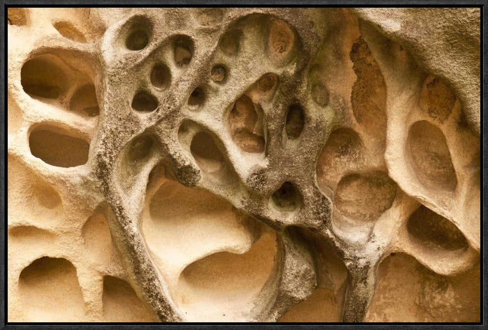 Cavernous Weathering In Sandstone Rock, Sydney, Australia, 24"x16"