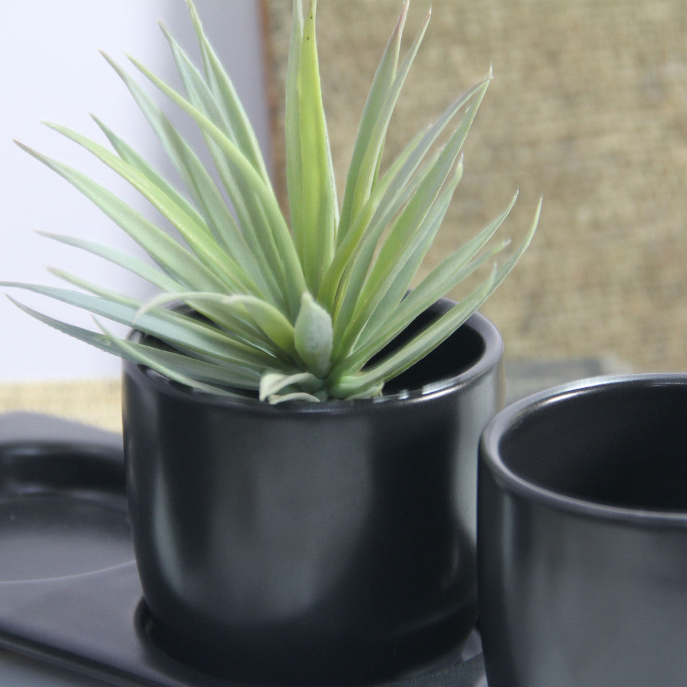 Lilac Planter Set with Tray, Black