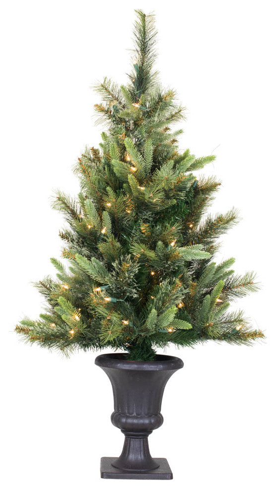 3.5' X 28" Potted Cashmere Pine 100Mu