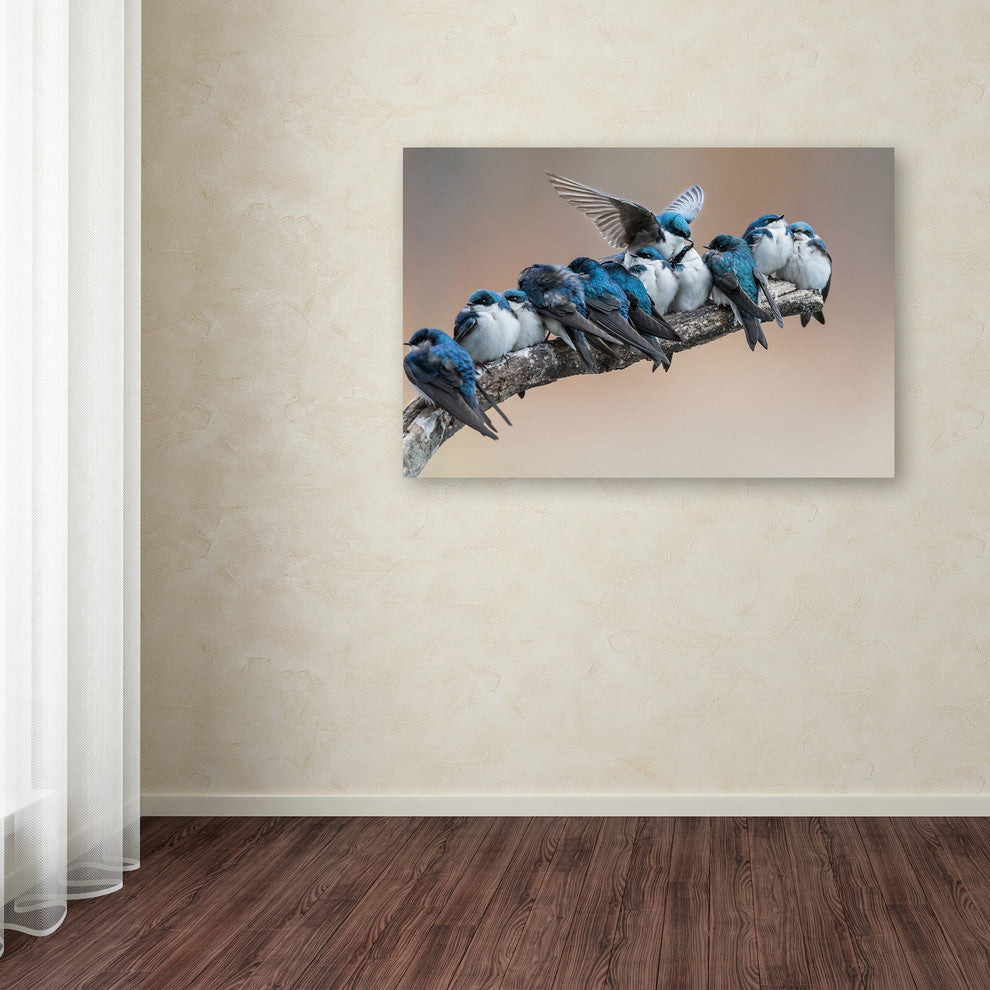 Cheng Chang 'No Room No Problem' Canvas Art, 30x47