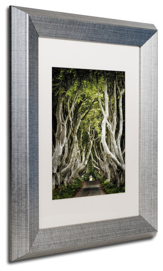 Philippe Sainte-Laudy 'Romantic Avenue' Art, Silver Frame, 11"x14", White Matte