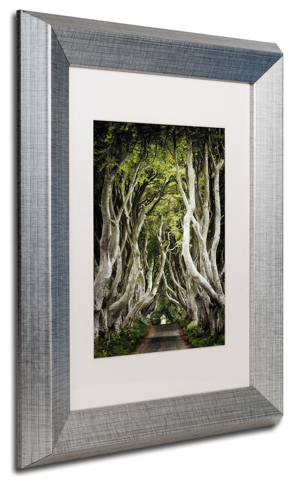 Philippe Sainte-Laudy 'Romantic Avenue' Art, Silver Frame, 11"x14", White Matte