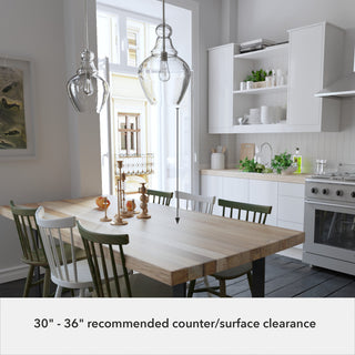 Hunter Maple Park Brushed Nickel 1 Light Pendant Ceiling Light