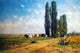Willem Roelofs Summer Between Hilversum and Loosdrecht Wall Decal