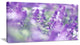 Beautiful Purple Mint Flowers, Large Flower Canvas Wall Art, 32"x16"