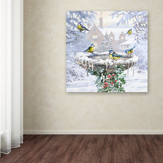 The Macneil Studio 'Birdbath Flat' Canvas Art, 35"x35"
