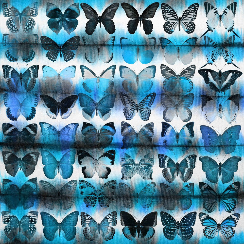 "Moth" Print on Canvas, 32"x32"