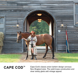 Hinkley Cape Cod 19.25" Medium Outdoor Hanging Onion Lantern, Aged Zinc