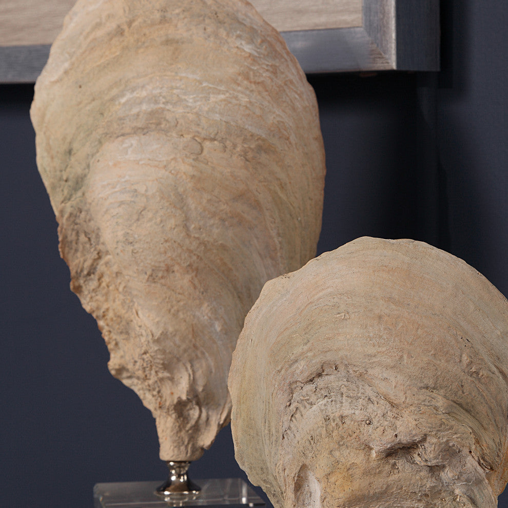 Luxe Coastal Ivory Oyster Sea Shell Sculpture 2-Piece Set