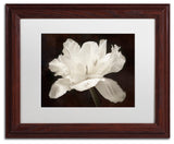 Cora Niele 'White Tulip I' Matted Framed Art