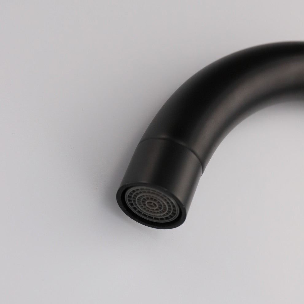 Single Handle Kitchen Faucet in Black Finish