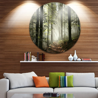 Light In Dense Fall Forest With Fog, Landscape Disc Metal Wall Art, 11"
