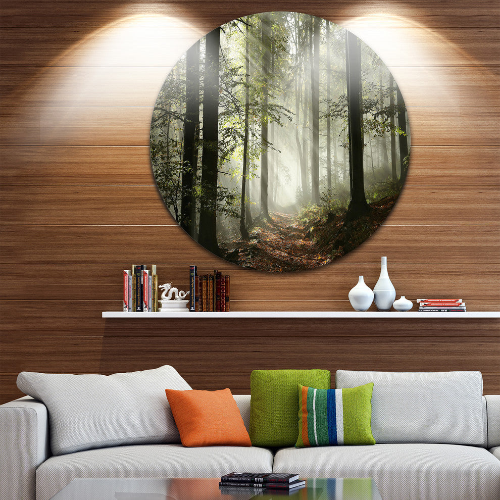 Light In Dense Fall Forest With Fog, Landscape Disc Metal Wall Art, 11"