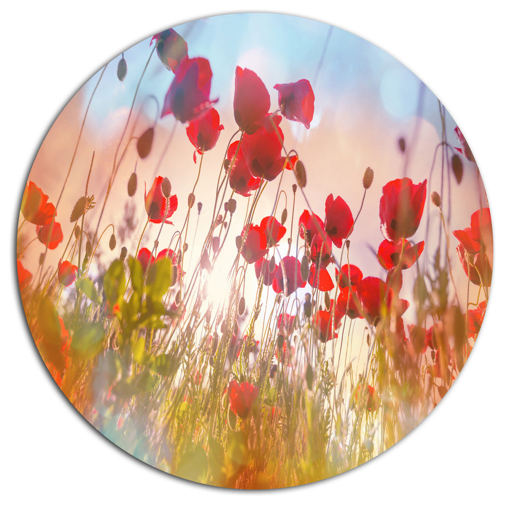 Cute Poppy Flowers In Sunlight, Flower Large Disc Metal Wall Art, 36"