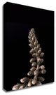 Upwards 2 by Design Fabrikken, Print on Canvas, 30"x42"