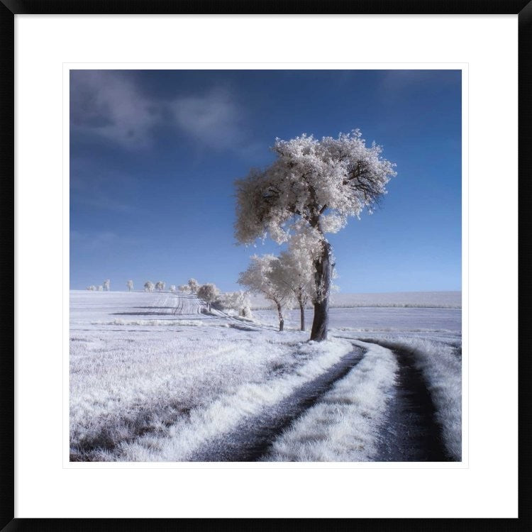 "Winter In Summer" Framed Digital Print by Piotr (Bax) Krol, 30x30"