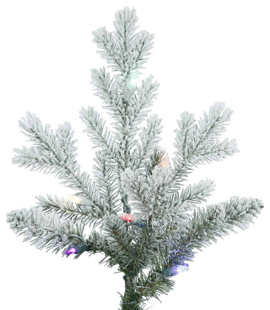 10' X 71" Frst Eastern Fir 1050Led Multi