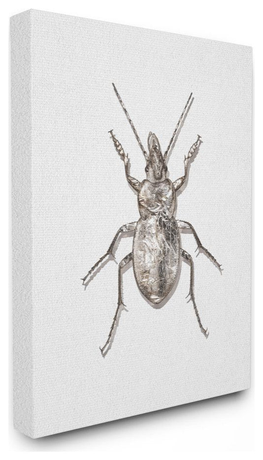 Textured Beetle Minimal Shadow Brown White Design,1pc, each 30 x 40