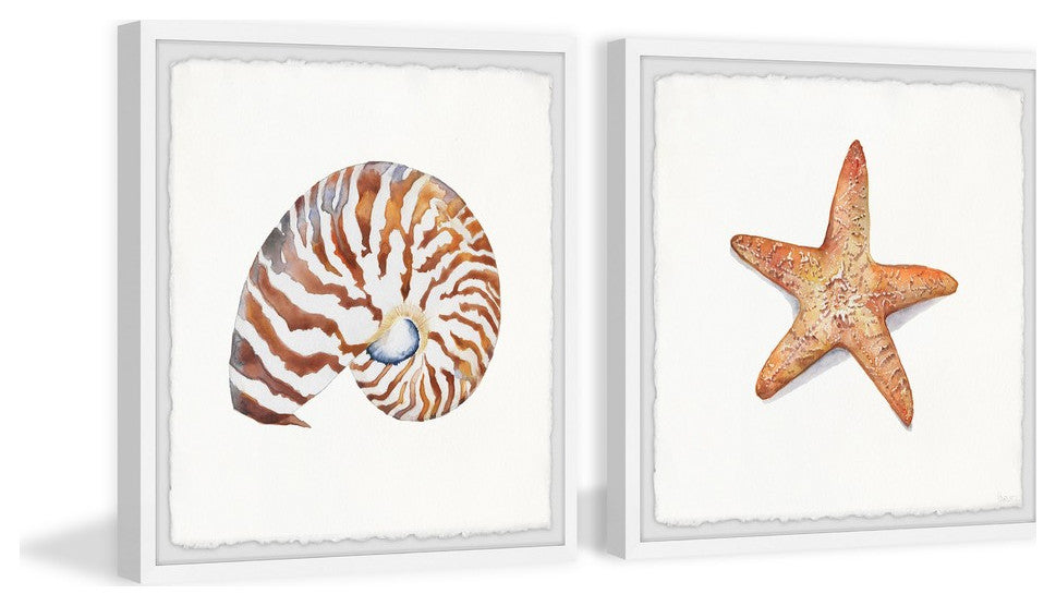Starry Shell Diptych, 24"x12"