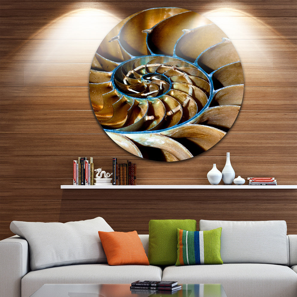 Brown Nautilus Shell, Abstract Art Round Wall Art, 11"