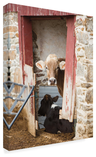 Aledanda 'Cows Resting' Canvas Art, 35"x47"