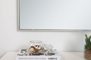 Metal Frame Rectangle Mirror 30" In Silver