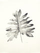 Black & White Palm II Art block Framed Canvas, 22"x28"