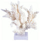 Branch Coral 10-12" On Acrylic Base