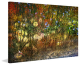 "Meadow Dragon Fly" Print on Canvas by Chris Vest