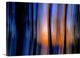 "Cedar Sundown" Wrapped Canvas Art Print, 36"x24"x1.5"