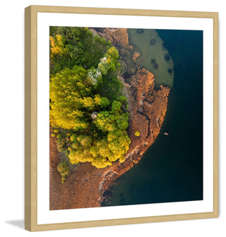 "Trees from Above" Framed Painting Print by Karolis Janulis