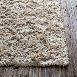 Naya Contemporary Area Rug, Beige, 9'x13' Rectangle