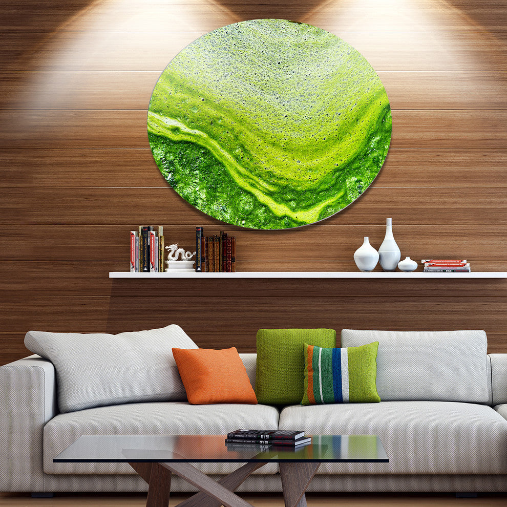 Polluted Water With Algae In Green, Abstract Disc Metal Artwork, 23"