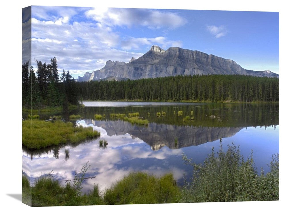 "Mount Rundle And Boreal Forest, Banff National Park, Alberta, Canada" Artwork