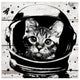 Ready2HangArt ''Space Cat'' Wrapped Canvas Animal Wall Art, 10"x10"