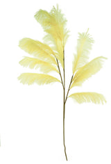 Kalalou Csl2513 Botanica #2513
