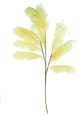Kalalou Csl2513 Botanica #2513