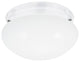 Webster 2-Light Ceiling Flush Mount, White