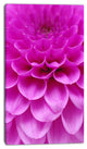 Abstract Purple Flower and Petals, Floral Canvas Art Print, 16"x32"
