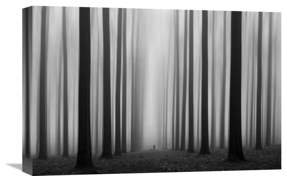 "Labyrinth" Stretched Canvas Giclee by Jochen Bongaerts, 22x15"