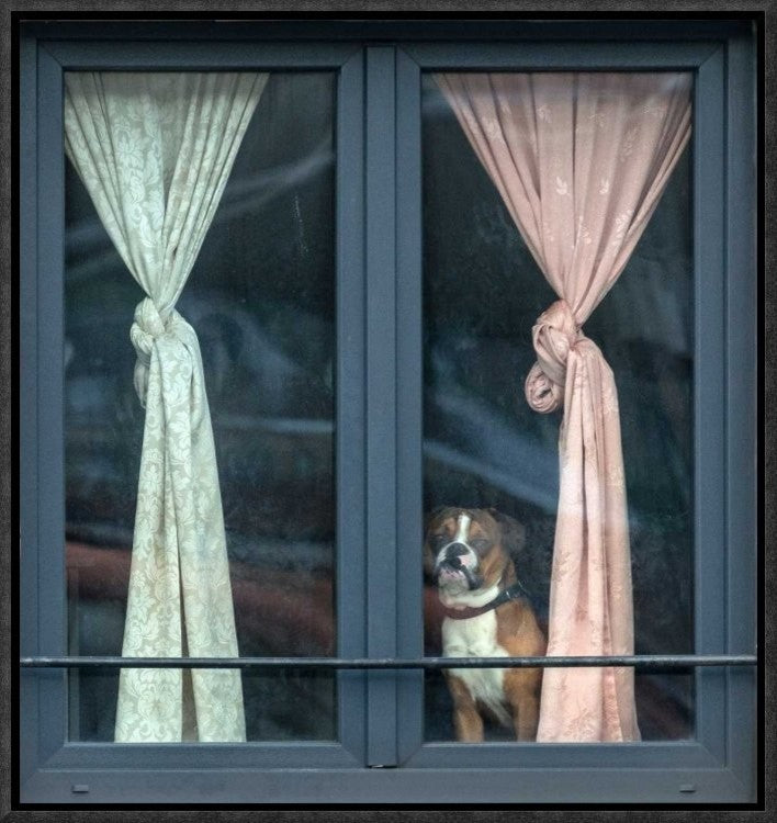 "Looking For His Buddy" Framed Canvas Giclee by Jef Van Den, 16x17"