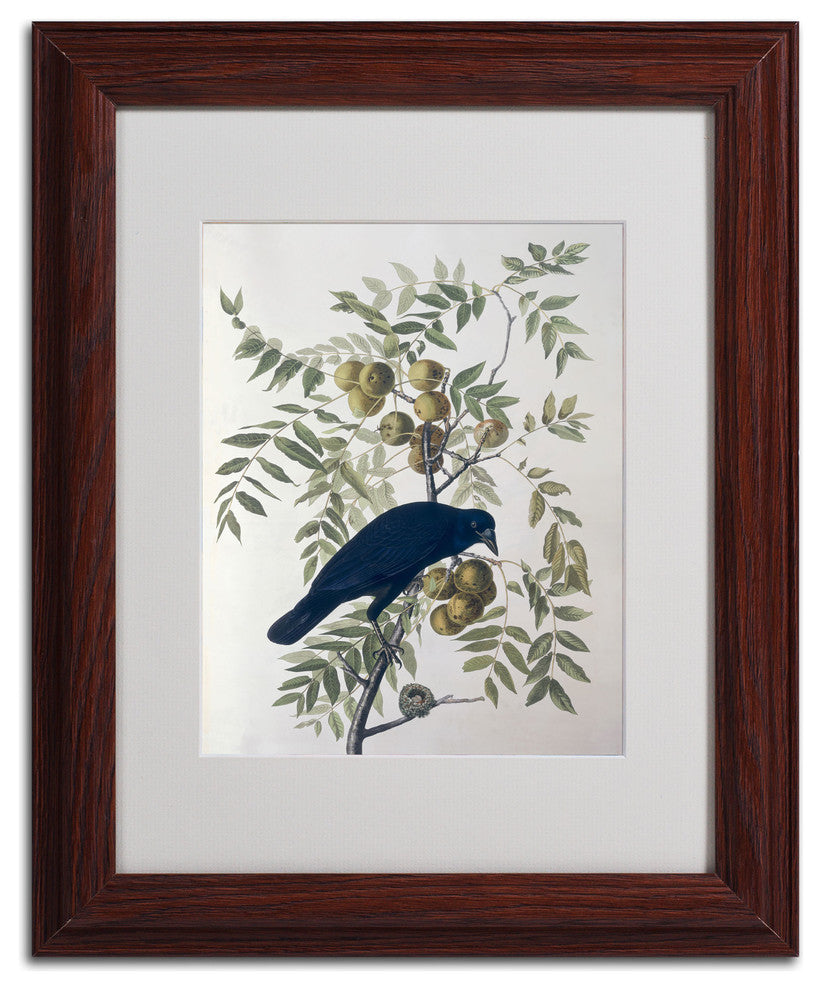 'American Crow' Matted Framed Canvas Art by John James Audubon