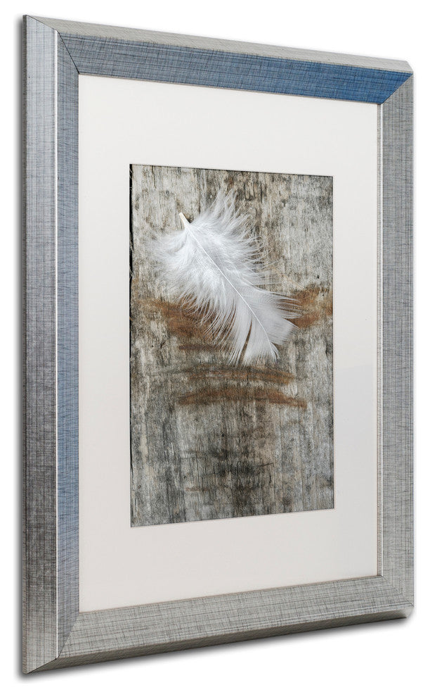 Cora Niele 'White Feather on Wood' Matted Framed Art