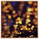 Deny Designs Shannon Clark Enchanted Framed Wall Art