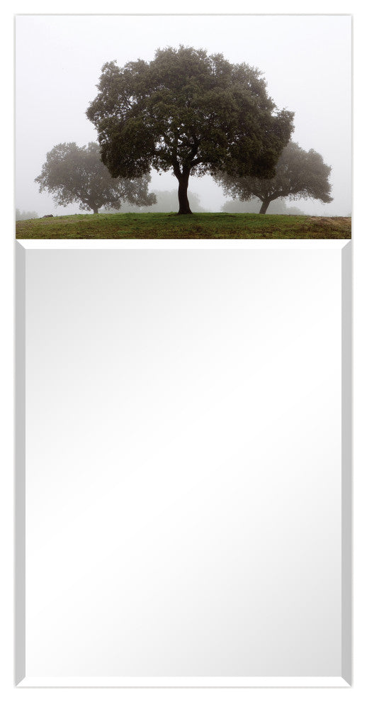 Beveled Wall Mirror on Free Floating Tempered Glass 24"x48", Solitude