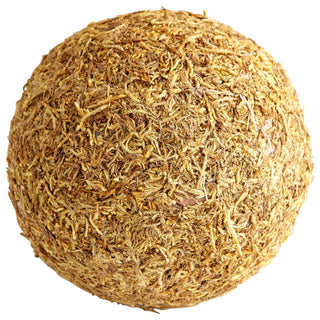 Cyan Design Medium St. Augustine Filler