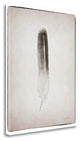 "Feather II Bw" By Debra Van Swearingen, Giclee Print on Gallery Wrap Canvas