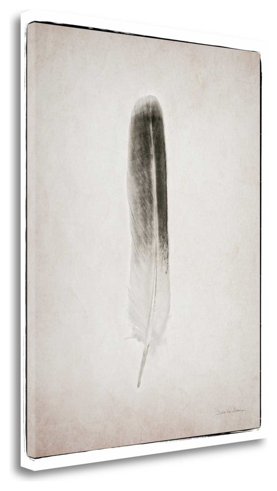 "Feather II Bw" By Debra Van Swearingen, Giclee Print on Gallery Wrap Canvas